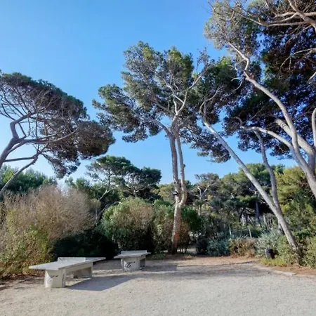 Apartment Superbe 50m De La En Bord De *